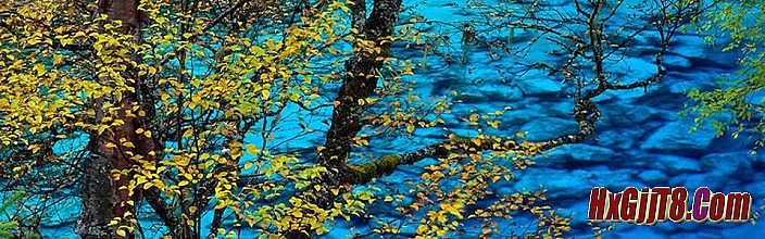 ��Ѫ����177���ֻ���