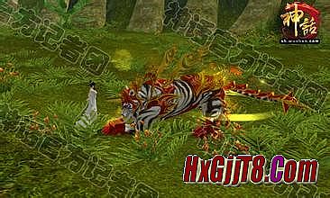 ��Ѫ���渴������